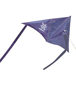 PA1-090030 - Delta Dancer Kite