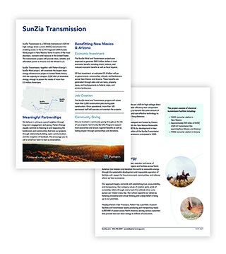 PA1P-S048 - Sunzia Transmission | Fact Sheet (Pack of 50)